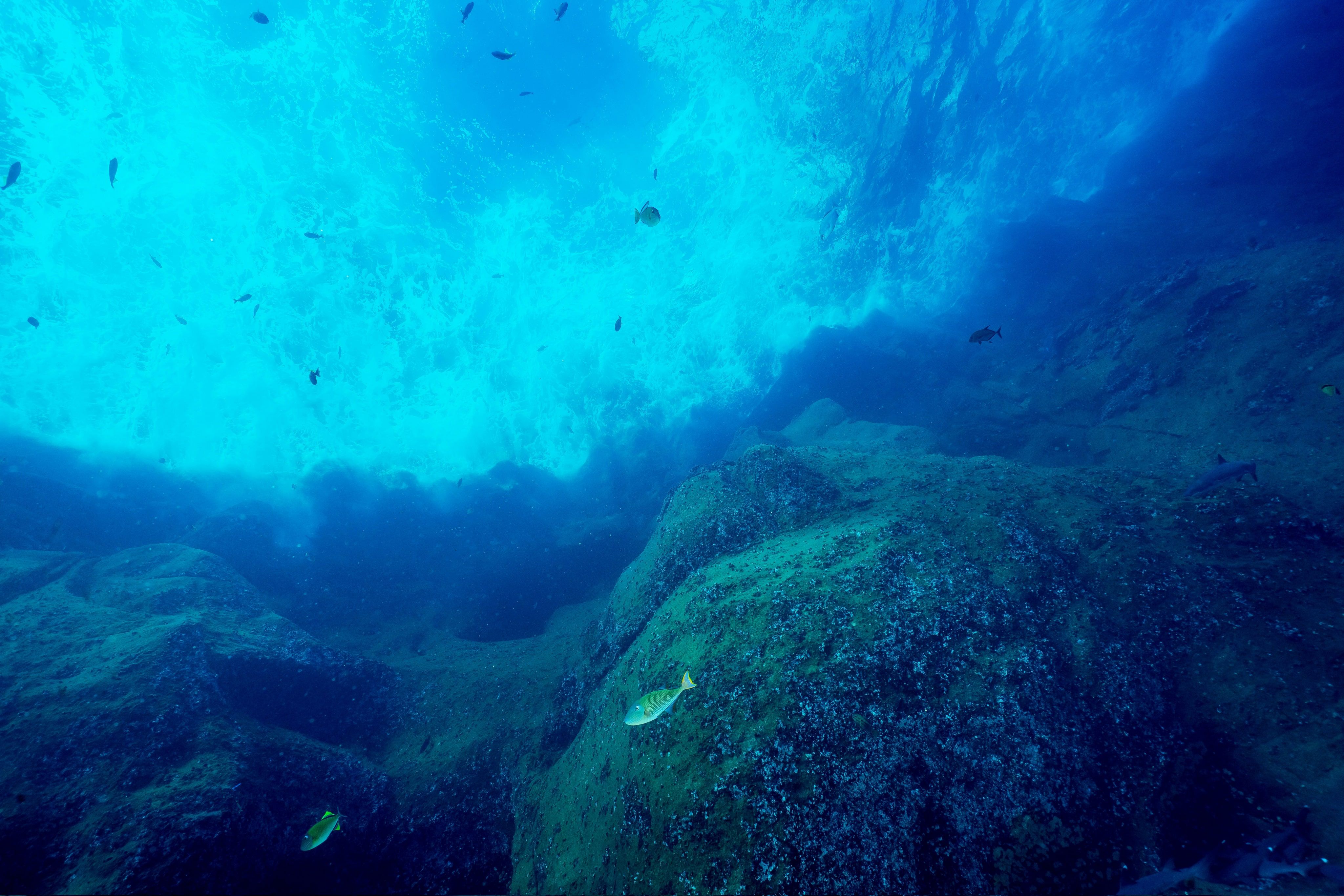 Ocean Census